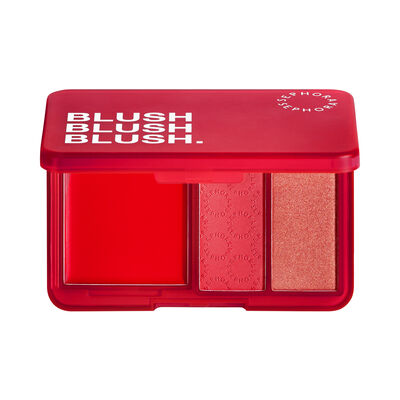 BLUSH PALETTE-25 (PALETA DE RUBOR PARA MEJILLAS)